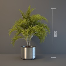 绿色植物盆栽3d模型