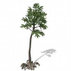 学校树木植物3d模型