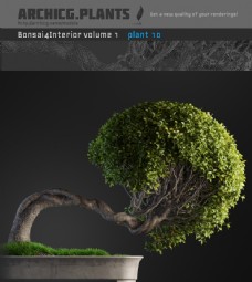 精美造型盆栽3d模型
