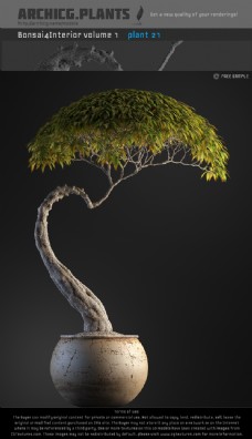 树木高精度室内盆景3d模型