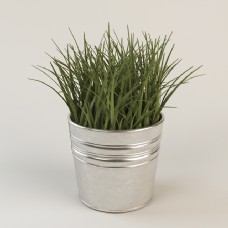 清新绿色植物盆栽3d模型
