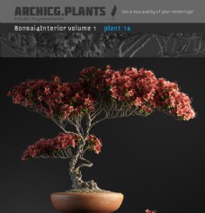 室内盆栽3d模型
