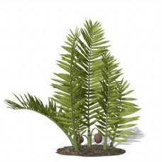 树木花草植物素材3d模型