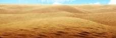 黄色沙漠骆驼脚印淘宝banner背景