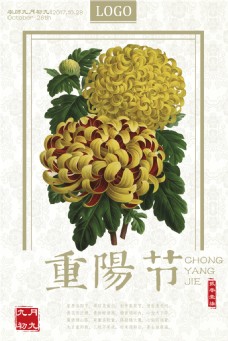 促销广告重阳节菊花中国风海报