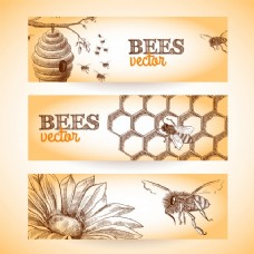 标签蜜蜂的蜂巢梳花素描横幅的隔离套矢量插画