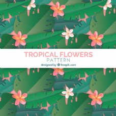 热带花卉图案背景