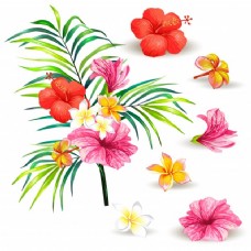花叶向量的写实风格与芙蓉花的热带棕榈树的分支图