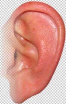 一只人耳朵免抠png透明图层素材