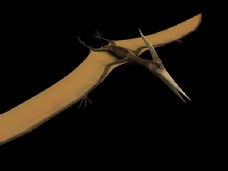 动物模型：无齿翼龙恐龙的3ds max模型