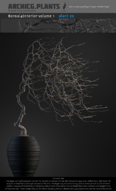 欧美风花瓶植物3d模型