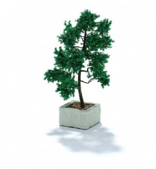 家种树木盆栽3d模型
