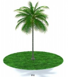 椰树模型素材
