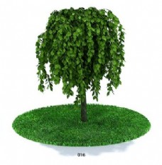 茂盛树模型