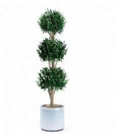 室内创意球形盆栽3d模型