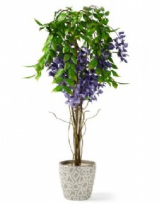 蓝紫色小花植物盆栽3d模型