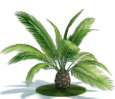 绿植菠萝树模型下载