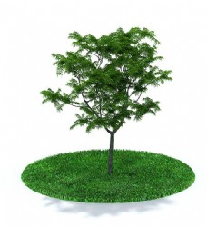户外种植树木3d模型