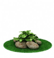 室外植物室外种植绿色植物3d模型