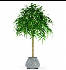 绿色尖叶子植物盆栽3d模型