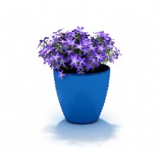 紫色小花盆景3d模型