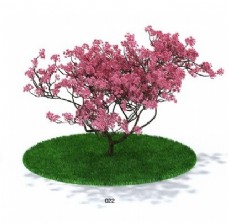 樱花植物模型素材