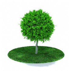 树叶枝叶茂密树木3d模型