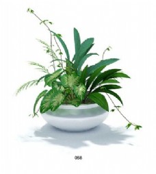 室内植物模型摆件