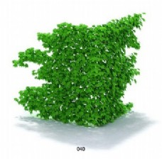 墙面植物模型