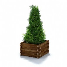 树木精美绿色植物盆栽3d模型