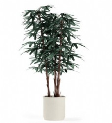 暗绿色长形叶子植物盆栽3d模型
