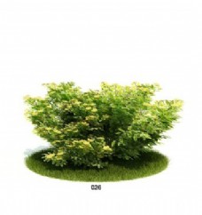 小型灌木模型