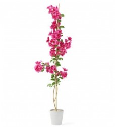 深粉色花朵盆栽模型素材