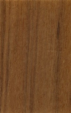 木材百搭时尚枫木饰面板材质贴图