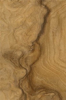 木材实用的树木纹理材质贴图