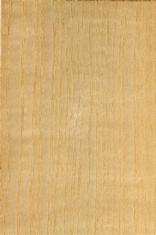 木材浅黄色木饰面板材质贴图