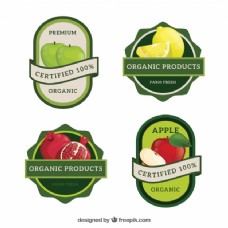 水果采购不同水果的绿色标签的集合