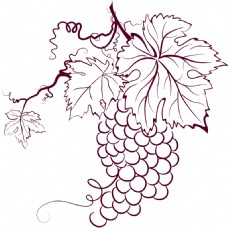 彩笔彩绘简笔画葡萄红酒葡萄酒矢量图