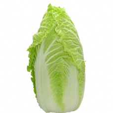 抠图专用大白菜透明蔬菜
