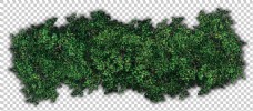 木材绿色灌木免抠png透明图层素材