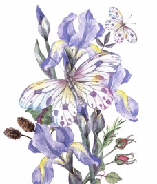 花的彩绘水彩绘美丽的蝴蝶花朵