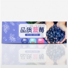 紫色时尚手绘美食生鲜水果淘宝电商海报模板