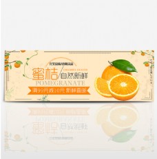 橙色清新秋季水果橘子蜜桔电商banner