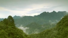 山川瀑布绿树美丽自然摄影素材