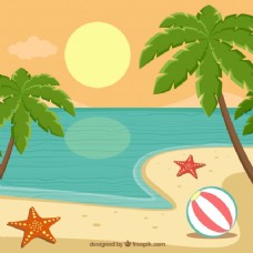 棕榈树和海岸的风景