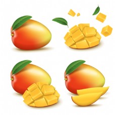 水果果实写实的美味水果芒果插画