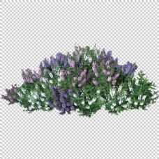 木材紫色鲜花灌木免抠png透明图层素材
