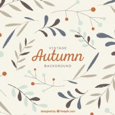 老式的秋天背景手绘的叶子