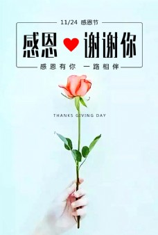 感恩节玫瑰文艺范海报