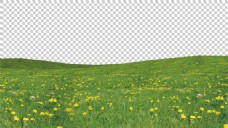 春季黄色鲜花绿色草地免抠png透明图层素材